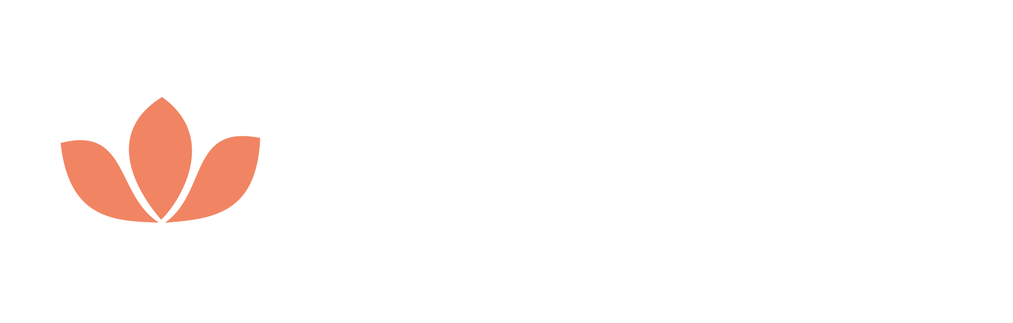 Summit Logo White africa